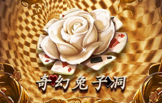 333体育网址